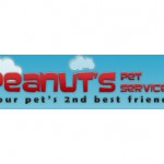 peanuts
