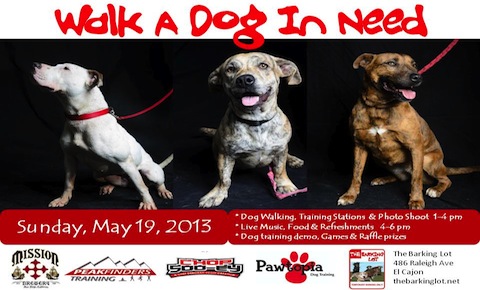 Walk A Dog In Need 5-19-13-1