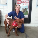 Dog-Rescue-San-Diego_March5